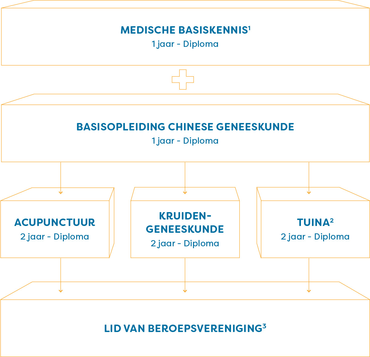 Opleidingsstructuur