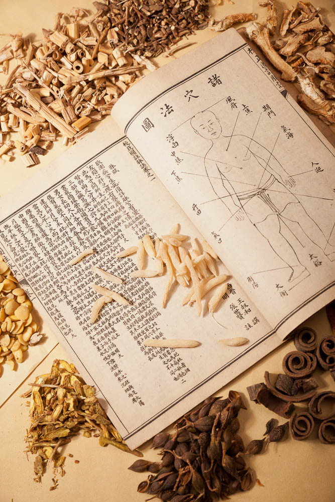Fundamentals of Traditional Chinese Medicine