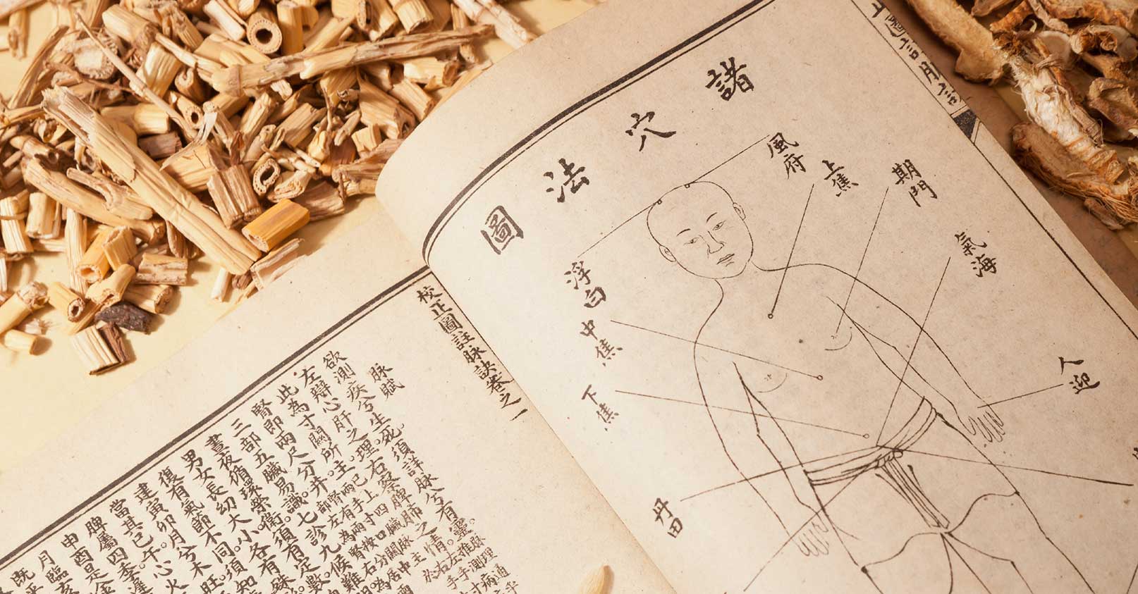 Basisopleiding Traditionele Chinese Geneeskunde Shenzhou Open